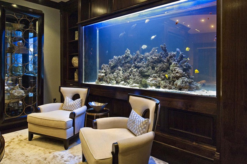 Bố trí bể cá cảnh đẹp trong nhà cho không gian thêm sang trọng đúng phong thủy